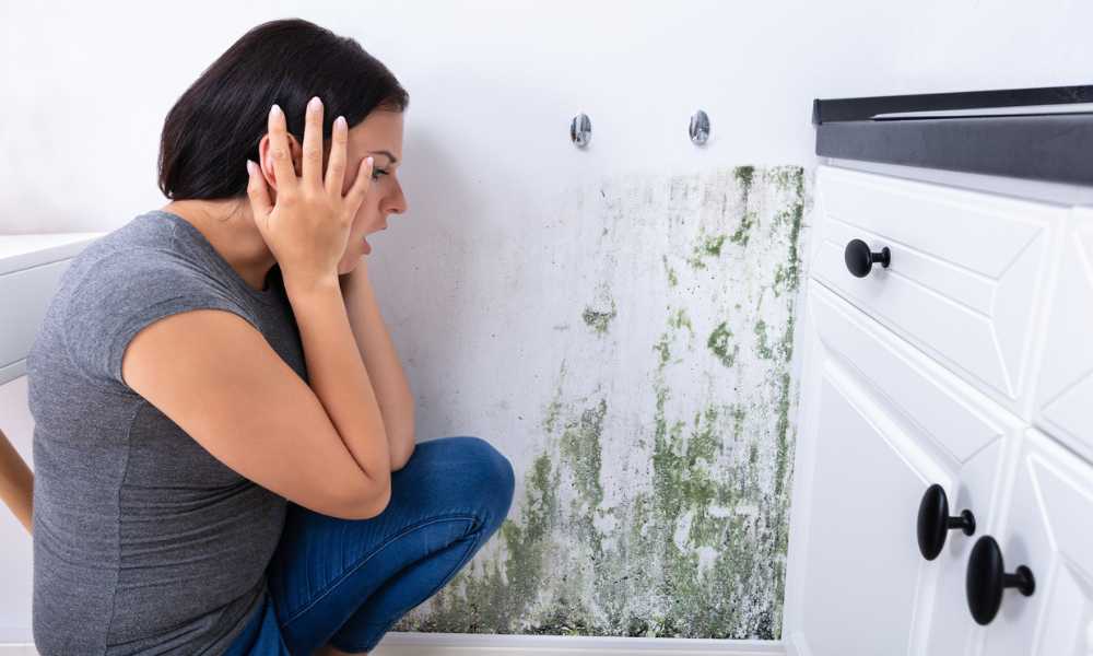 How to Get Rid of Mold Under Kitchen Cabinets