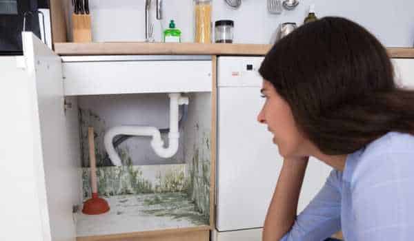 Kitchen Cabinet Water Leaks