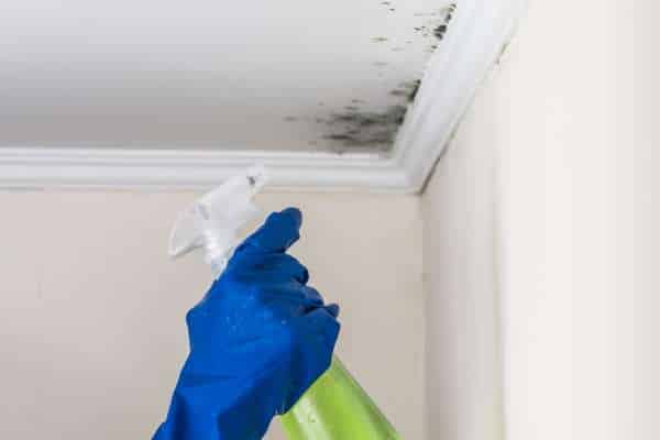 Removing Mold And Mildew